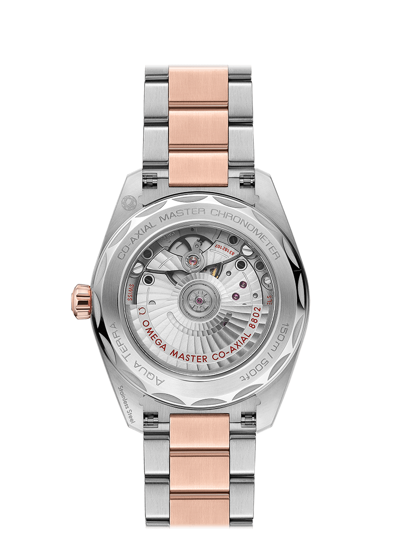 Omega Seamaster Steel Sedna Gold Chronometer Uhr 220.20.38.20.10.001-1