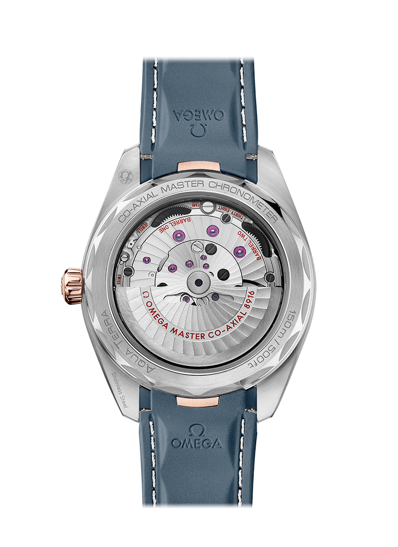 Omega Seamaster Steel Sedna Gold Chronometer Uhr 220.22.41.21.03.001-1