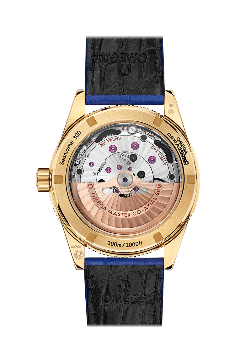 Omega Seamaster Gelbgold Chronometer Uhr 234.63.41.21.99.002-1