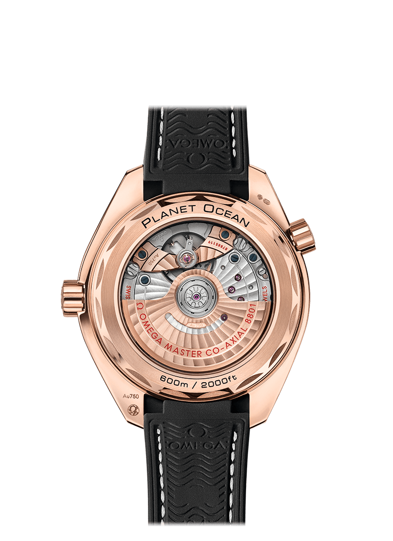 Omega Seamaster Sedna Gold Chronometer Uhr 215.63.40.20.13.001-1
