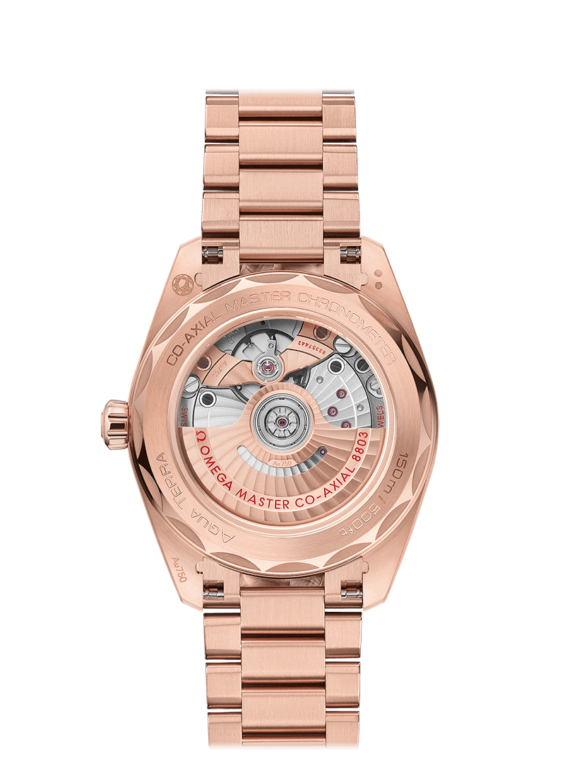 Omega Seamaster Sedna Gold Chronometer Uhr 220.55.38.20.99.001-1