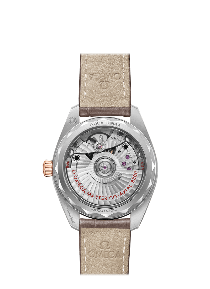 Omega Seamaster Steel Sedna Gold Chronometer Uhr 220.23.34.20.06.001-1