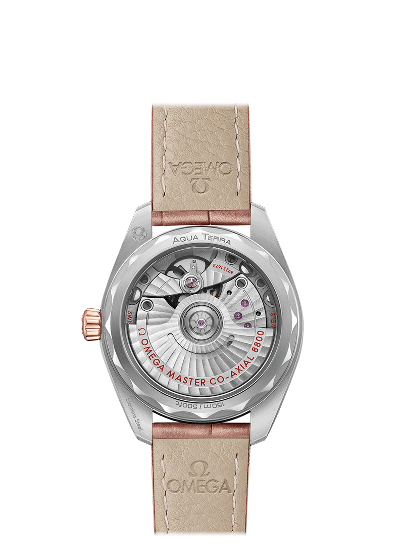 Omega Seamaster Steel Sedna Gold Chronometer Uhr 220.23.34.20.59.001-1