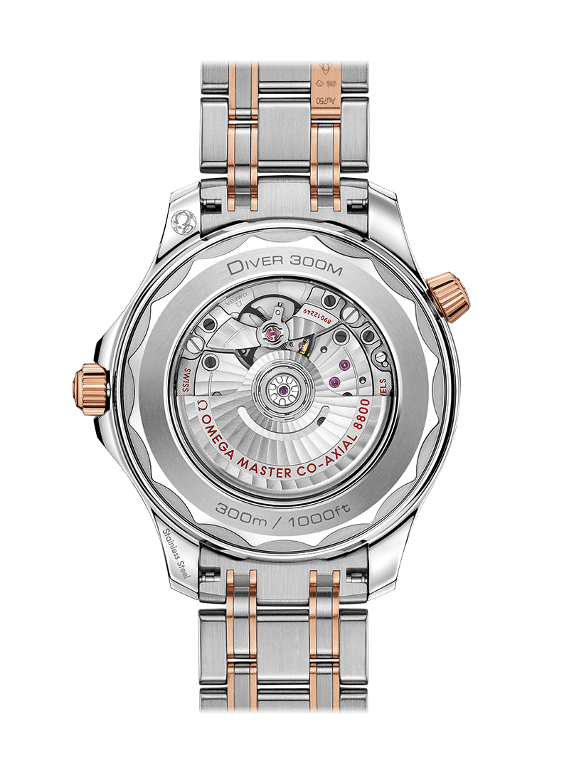 Omega Seamaster Diver 300m Omega Co-Aaxial Master Chronometer 42 mm 210.20.42.20.01.001-1