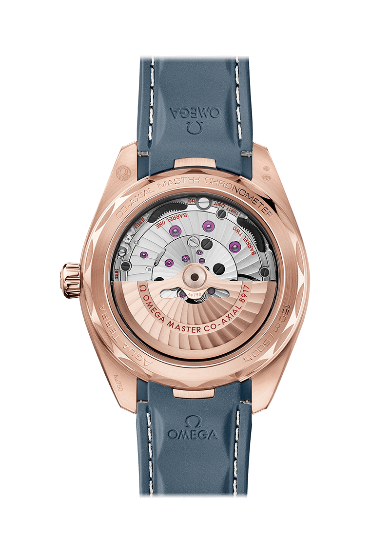 Omega Seamaster Sedna Gold Chronometer Uhr 220.52.41.21.03.002-1