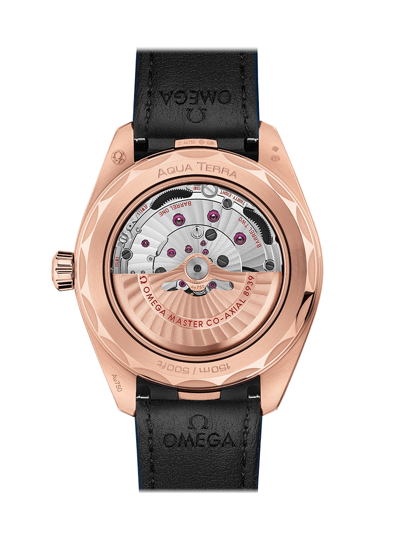 Omega Seamaster Worldtimer Uhr 220.53.43.22.02.001-1